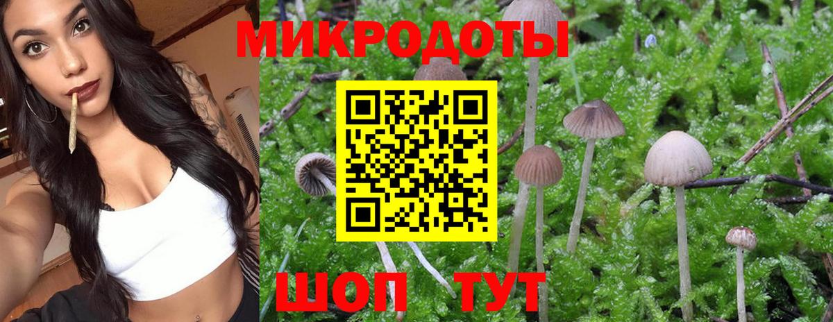 Галлюциногенные грибы Magic Shrooms Усть-Джегута